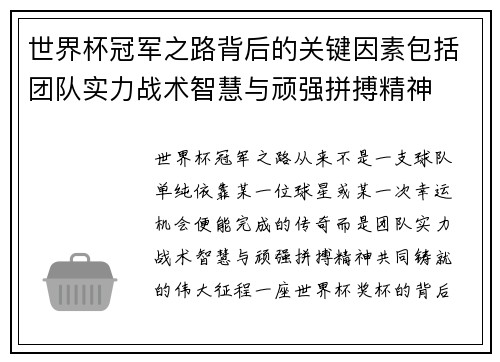 世界杯冠军之路背后的关键因素包括团队实力战术智慧与顽强拼搏精神